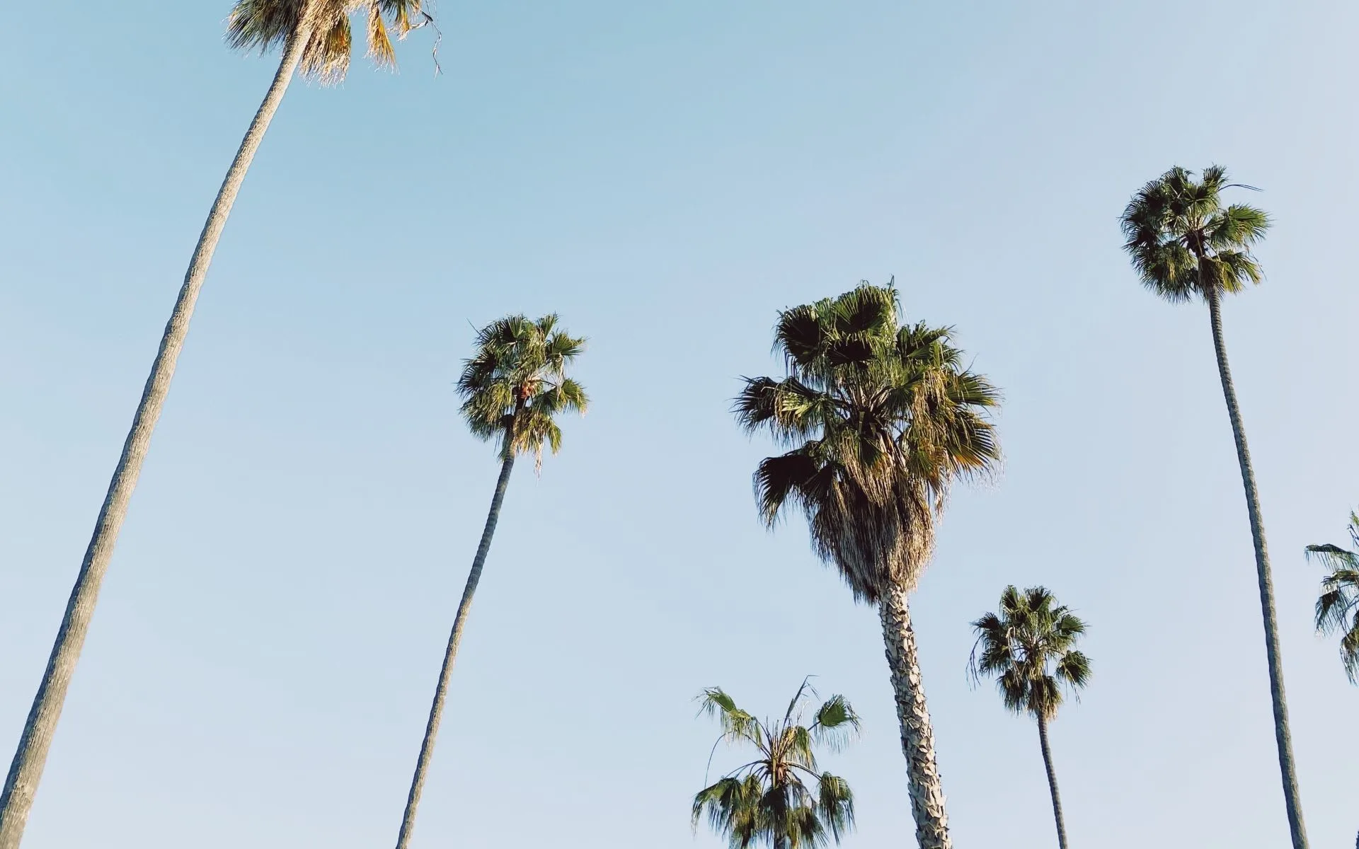 michael-jeffery-4gsxio5nupa-unsplash-1
